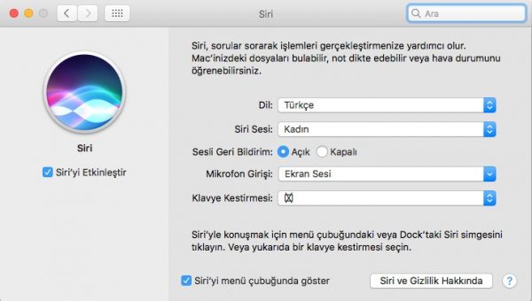 siri ses değiştirme